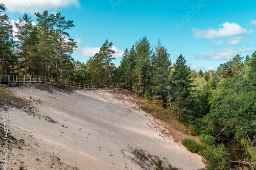 Fototapeta Naklejka Na Ścianę i Meble -  White dune near Purciems surrounded by beautiful green forest during sunny summer day in Latvia