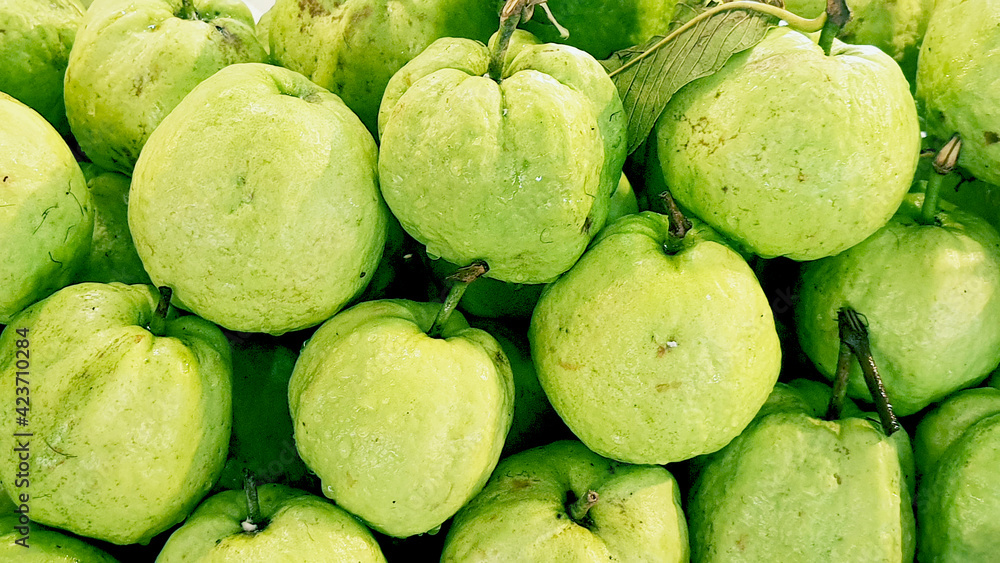 Guava fruit for sale in supermarket, Guava fruit background, tropical Thai fruit, Food available to everyone. Guava fruit for sale in supermarket, Guava fruit background, tropical Thai fruit, Food available to everyone.