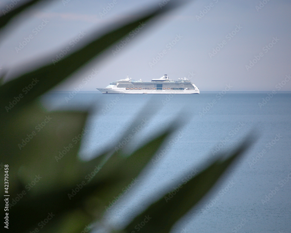 Naklejka premium Empty Ferry at Bournemouth Beach behind palm tree