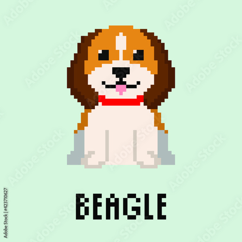 Pixel Beagle dog. Isolated vector illustration on colored background.
