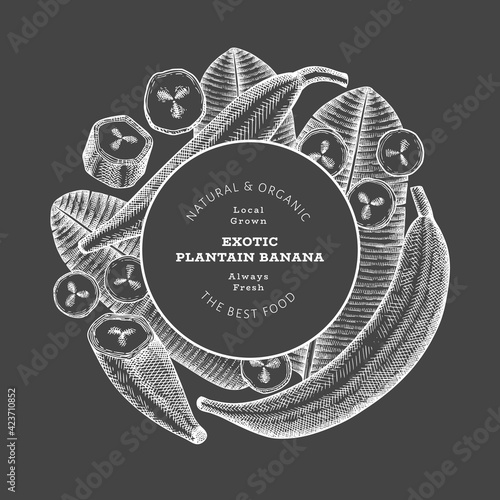Hand drawn sketch style plantain banner. Organic fresh fruit vector illustration on chalk board. Retro exotic banana fruit design template