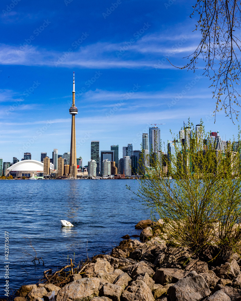 Fototapeta premium Toronto Skyline 