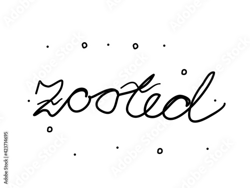 Zooted phrase handwritten. Modern calligraphy text. Isolated word black photo