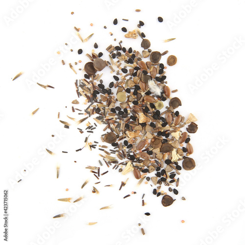 Variuos flowers seeds isolated on white background. Pile dry flowers seeds, top view.