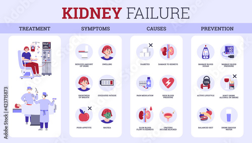 Kidney failure disease - treatment, symptoms, causes, prevention for patients