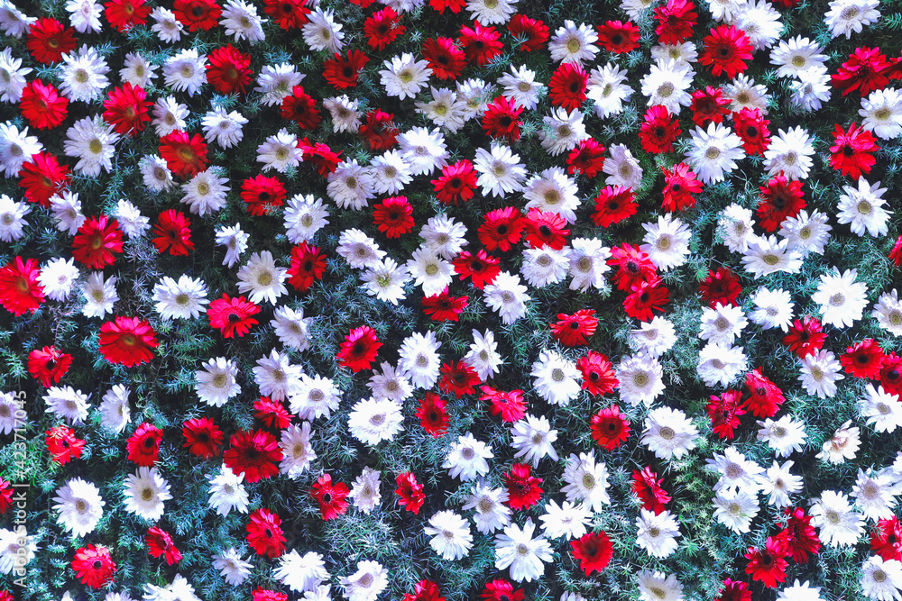 red and white background red and white background