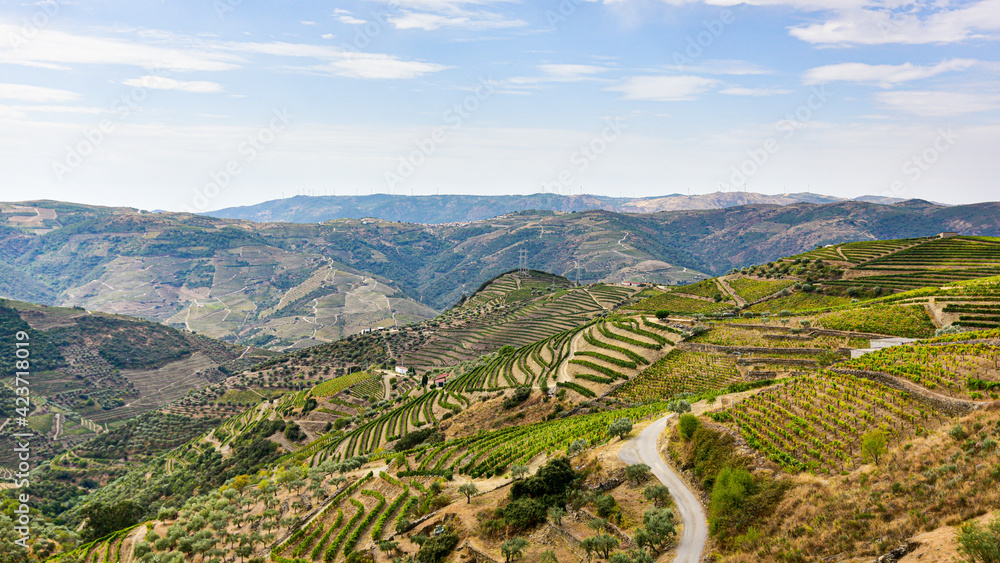 Mountains in Portugal with planted vineyards