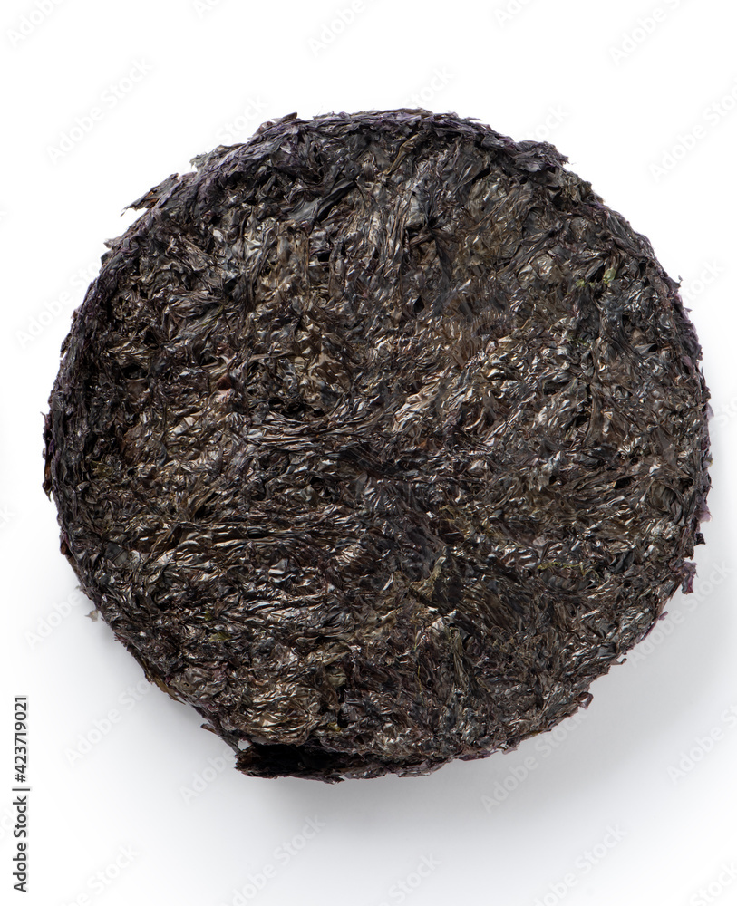 Close up of dried seaweed sheet isolated on white background Close up of dried seaweed sheet isolated on white background