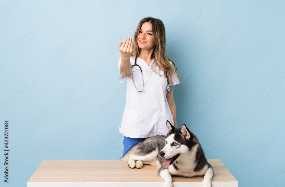 Veterinary doctor at vet clinic with Siberian Husky dog over isolated blue background inviting to come with hand. Happy that you came