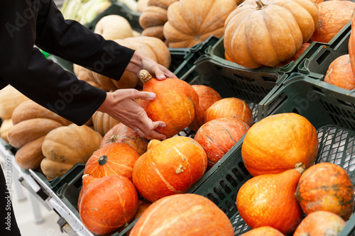 Female hands are choosing a pumpkin in the store. Close-up.