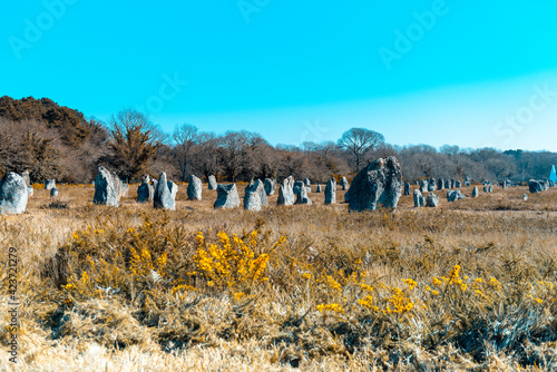 Menhir alignment of Kerlescan photo