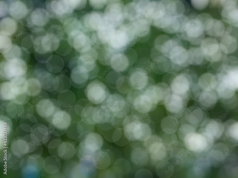 green bokeh background green bokeh background