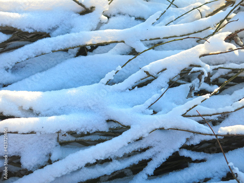 brushwood, sawn branches under the snow lie in winter