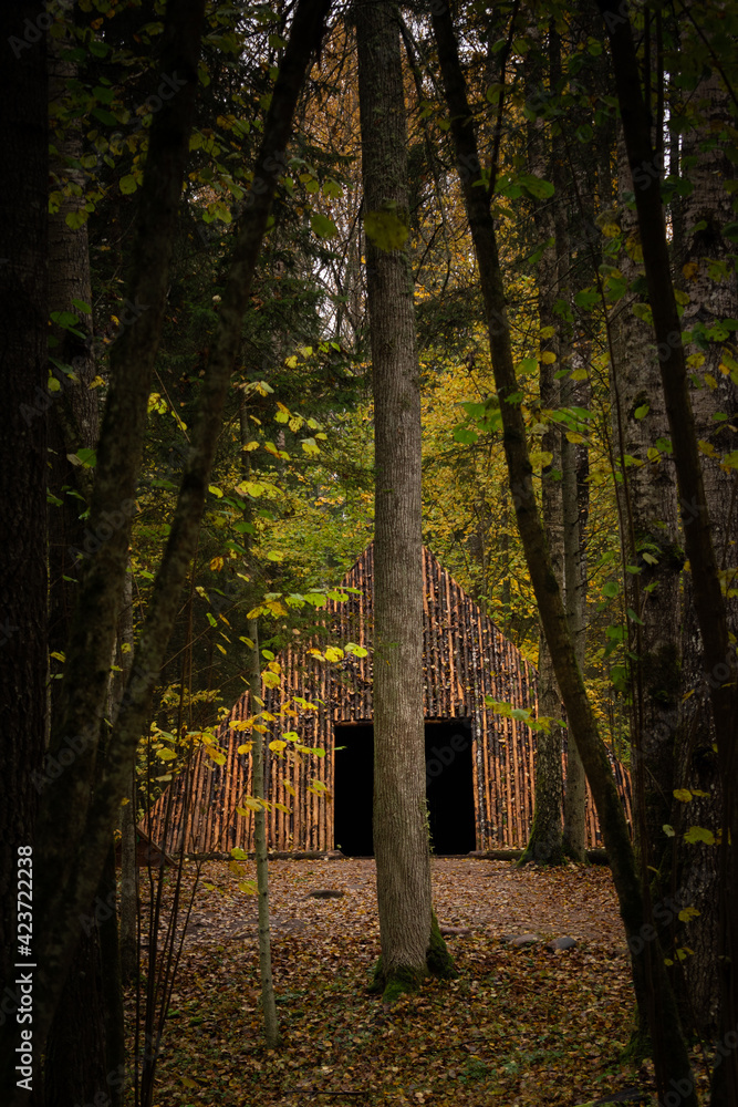 Fototapeta premium Pyramid of Wishes. Wooden pyramid in the mysterious Pokaini Forest near Dobele, Latvia during cloudy autumn day