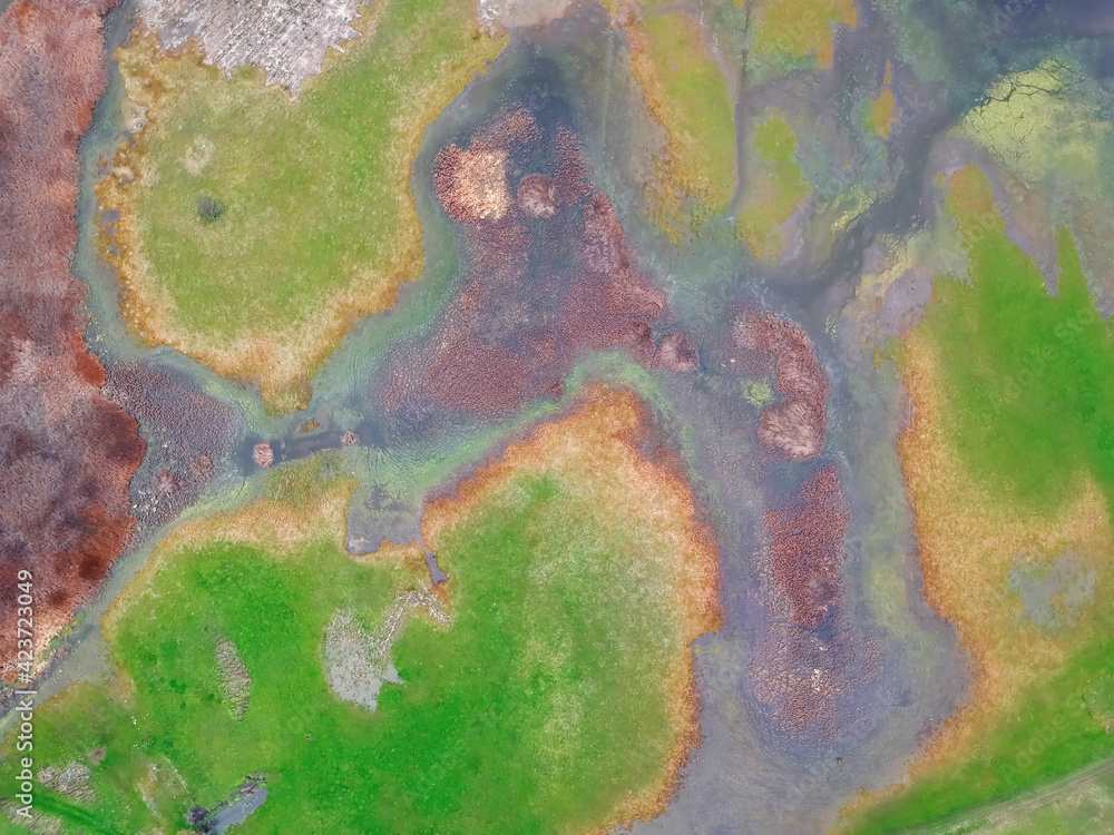 Surreal and Abstract Patterns in Nature. Surreal and Abstract Patterns in Nature.