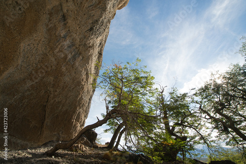 Toca do Milodon ou Cueva del Milodon. Fenômeno geológico raro onde foi encontrado fóssil de uma preguiça gigante. Fica na Patagônia chilena, na América do Sul.