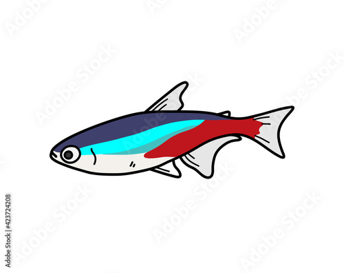 Neon Tetra Fish, a hand drawn doodle of a neon tetra fish, isolated on white background.