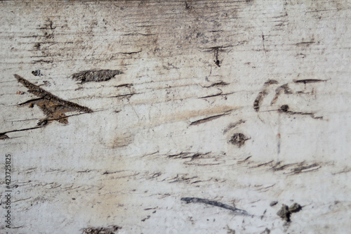 Defocus white painted old wooden texture. Peeling paint background. White wood paneling texture background. Deep vintage scratches. Worn board surface. Out of focus