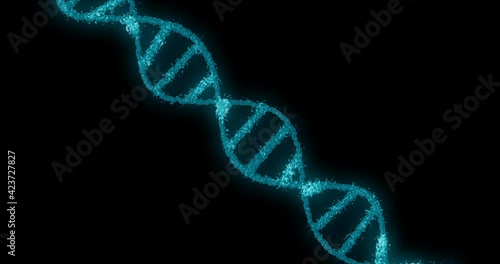 Abstract DNA 3D animation on dark blue background. Hologram blue glowing rotating DNA double helix. Science and medicine concepts. Seamless loopable background.
