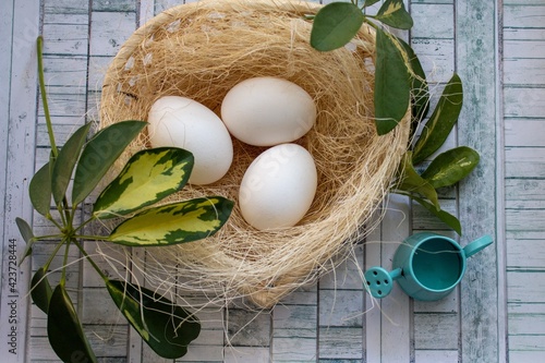 Composition with white chicken eggs with leaves and flowers.