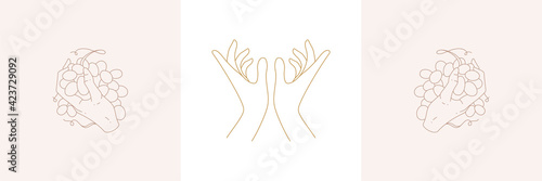 Hands holding grapes and offering prayer gesture in boho linear style vector illustrations set.