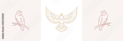Outline design of golden emblems for birds