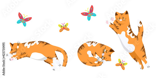 ......Set of cats in different poses, funny red kittens, cat jumping for a butterfly, cute pets in cartoon style, vector objects on a white background, hand draw...
