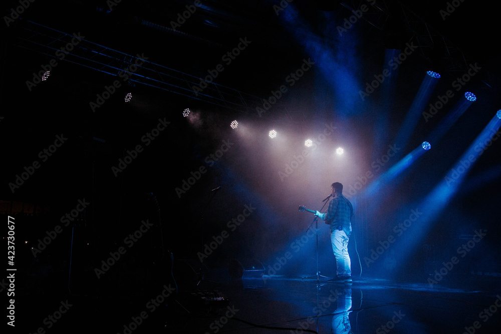 Fototapeta premium concert, live performance, festival
