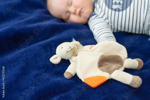 Cute baby boy sleeping with soft toy comforter lamb in his hand photo