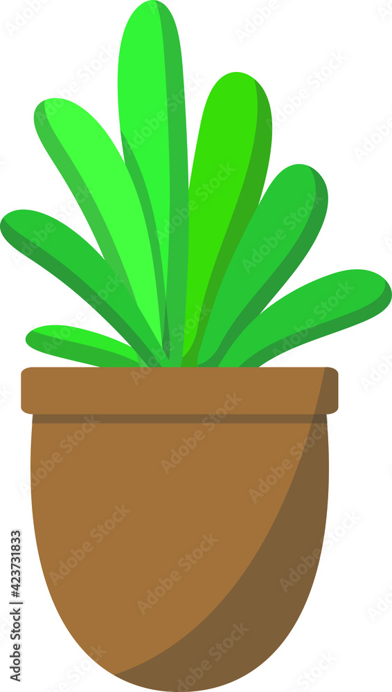 Home flowers. Flowers in pots. Flat design. Home flowers. Flowers in pots. Flat design.