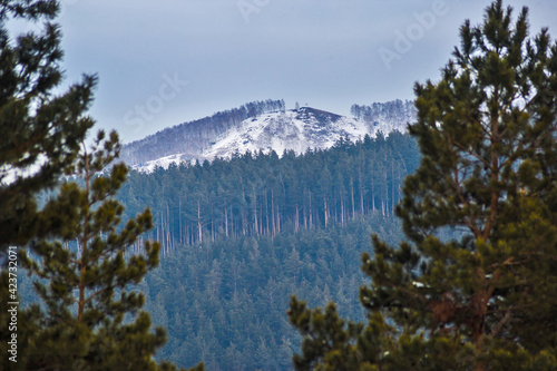 snow covered mountains