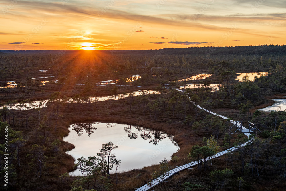 The Great Kemeri bog in the Kemeri National Park near Jurmala, Latvia during beautiful and colorful sunset