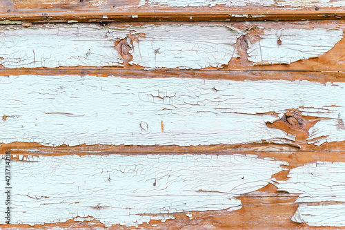 Close-up, texture of peeling white paint from wood.