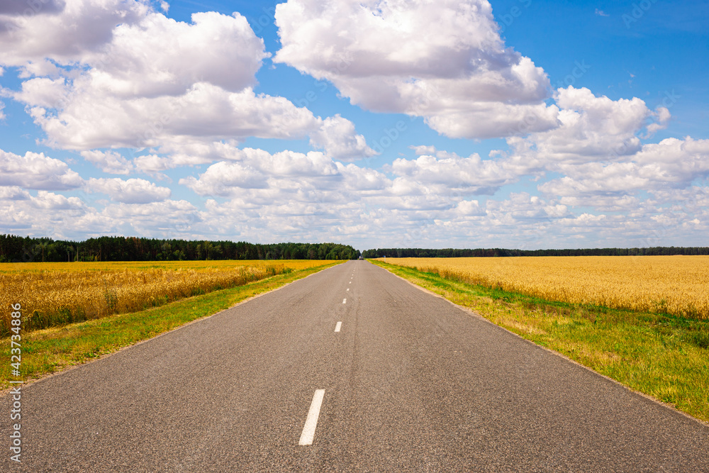 road going into perspective, yellow fields and blue sky with cumulus clouds road going into perspective, yellow fields and blue sky with cumulus clouds