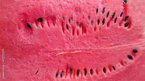 Watermelon Top view. Summer background illustration.