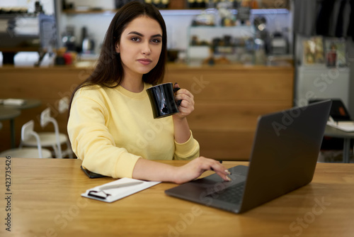Half length portrait of confident businesswoman working remotely on freelance in coffee shop using laptop computer, serious female hipster glogger holding cup browse news from social networks in cafe
