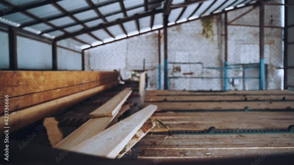 Woodworking plant. The board moves along the conveyor Woodworking plant. The board moves along the conveyor