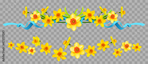 Floral borders set with daffodils on transparent background.