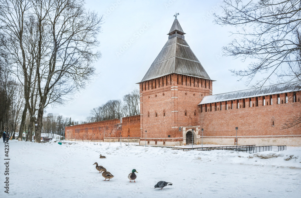 Kopytenskaya tower with gates and ducks in the snow in Smolensk