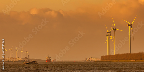 Cargo ships on the Nieuwe Waterweg river  during sunset in Europoort, Rotterdam harbor photo