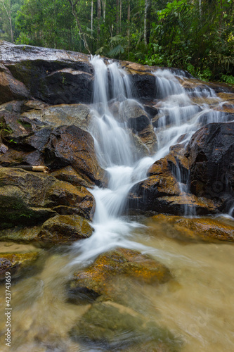 Fototapeta Naklejka Na Ścianę i Meble -  waterfalls found in tropical rainforest in Malaysia
