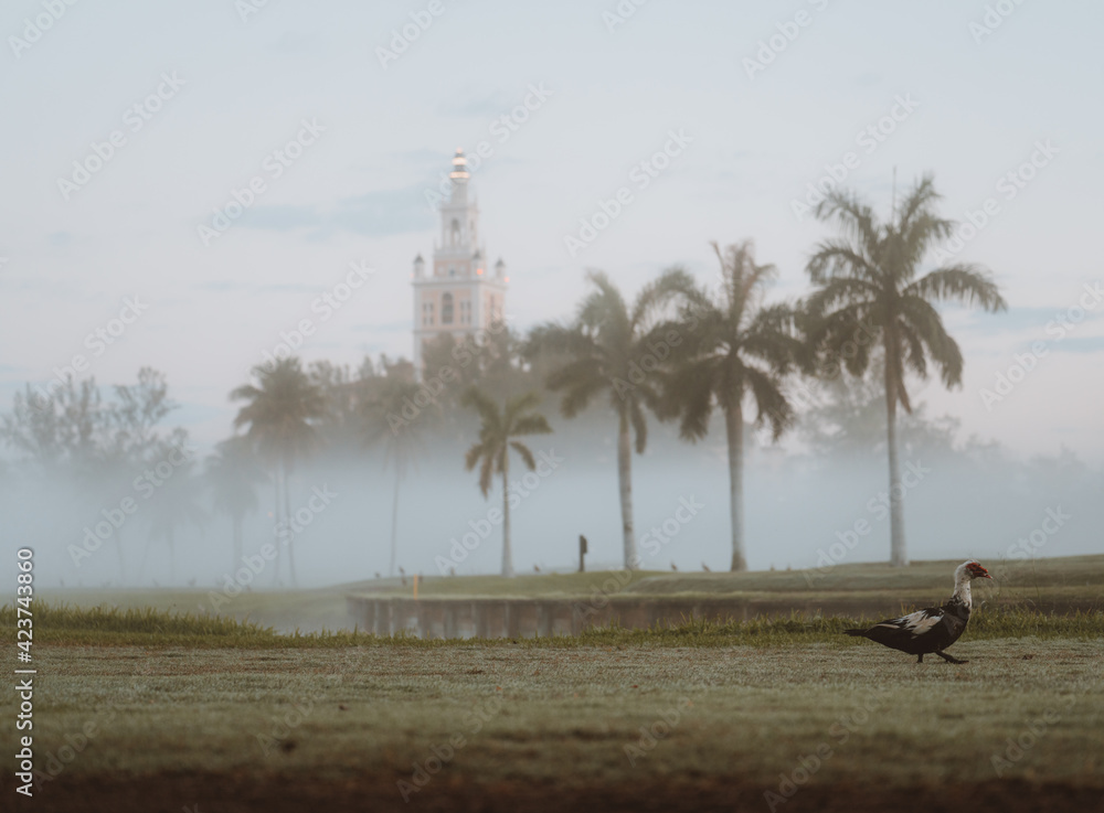mist tower field golf course miami florida sunrise palms mist tower field golf course miami florida sunrise palms