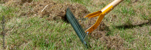 Cuadro en lienzo Close up on manual lawn scarifier in a garden in spring