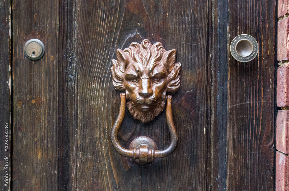 Lion, artistic knocker of the ancient door Lion, artistic knocker of the ancient door