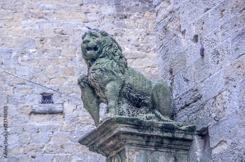 stone lion protect the city