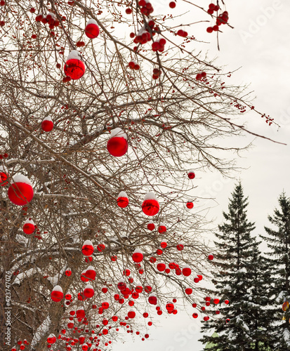 New Year's decor on the street - red balls on tree branches © Irina