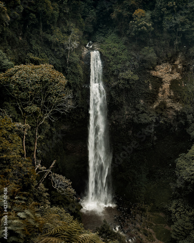 waterfall in the forest