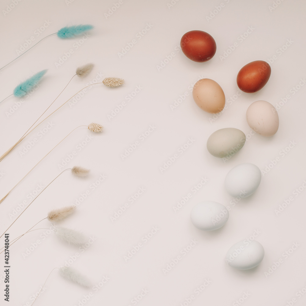 fresh chicken eggs of natural shades and colors on a white background. Happy Easter concept fresh chicken eggs of natural shades and colors on a white background. Happy Easter concept