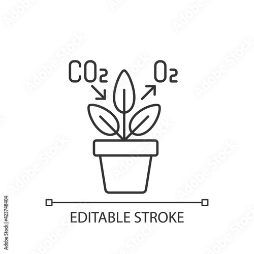 Air purifying plant linear icon. Plants clean the air through the process of photosynthesis. Thin line customizable illustration. Contour symbol. Vector isolated outline drawing. Editable stroke