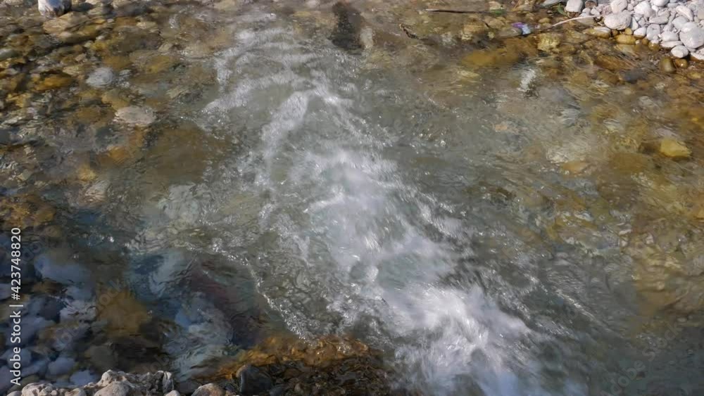 Flowing of the fast river water. Clear pure water of the Ribnica river in Montenegro, Podgorica. Wild nature Flowing of the fast river water. Clear pure water of the Ribnica river in Montenegro, Podgorica. Wild nature